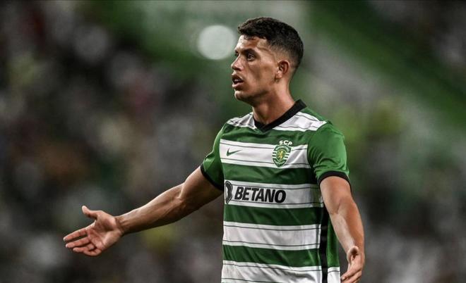 最大化了机 最大化了机